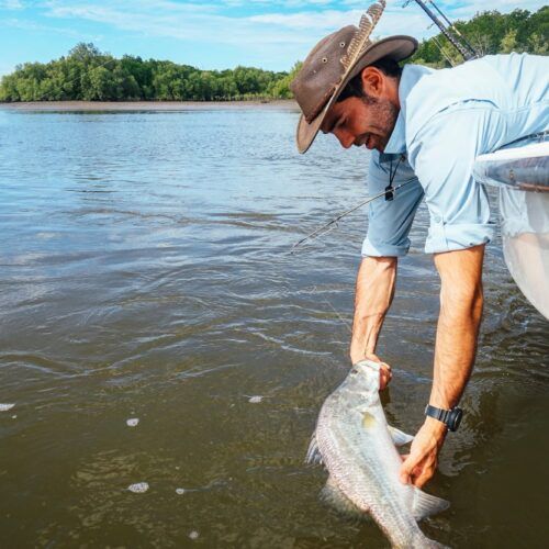 Seaforth-Barramundi-Release